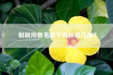 制刷用兽毛属于商标第几类？