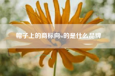 帽子上的商标向w的是什么品牌 帽子上的商标向w的是什么品牌