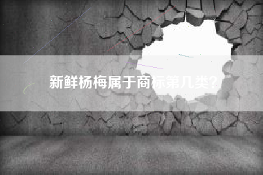 新鲜杨梅属于商标第几类？
