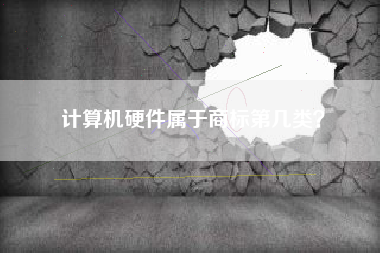 计算机硬件属于商标第几类? 计算机硬件属于商标第几类?