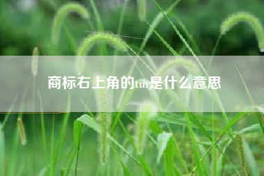 商标右上角的tm是什么意思
