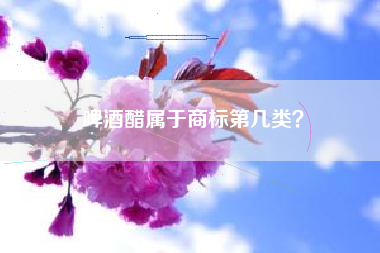 啤酒醋属于商标第几类？
