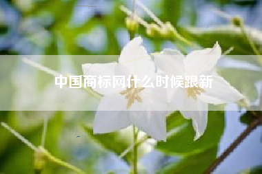 中国商标网什么时候跟新