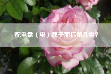 配电盘（电）属于商标第几类？