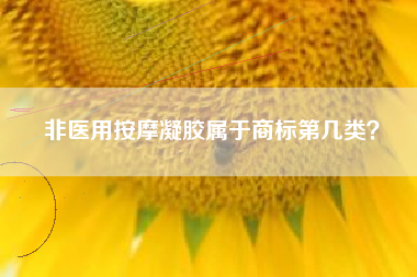 非医用按摩凝胶属于商标第几类？