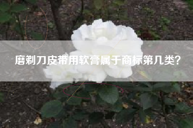 磨剃刀皮带用软膏属于商标第几类? 磨剃刀皮带用软膏属于商标第几类?