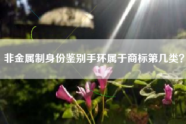 非金属制身份鉴别手环属于商标第几类？