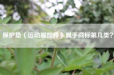保护垫（运动服部件）属于商标第几类？