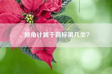 倾角计属于商标第几类？