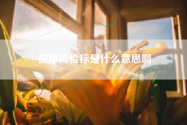 按摩椅检标是什么意思啊