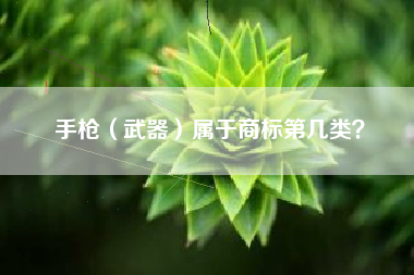 手枪（武器）属于商标第几类？