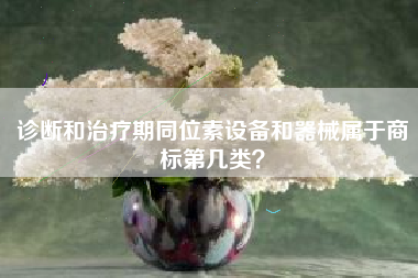 诊断和治疗期同位素设备和器械属于商标第几类？