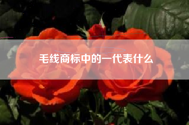 毛线商标中的一代表什么