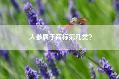 人参属于商标第几类？