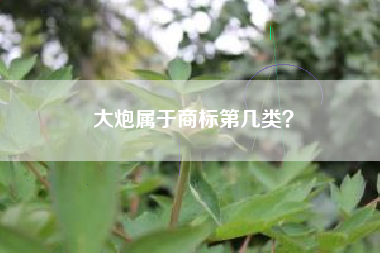 大炮属于商标第几类？