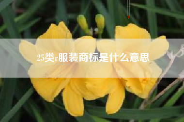 25类r服装商标是什么意思