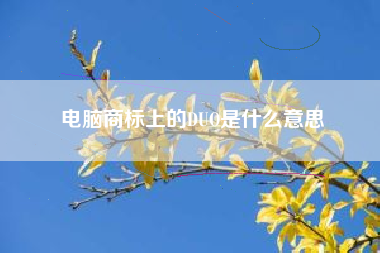 电脑商标上的DUO是什么意思