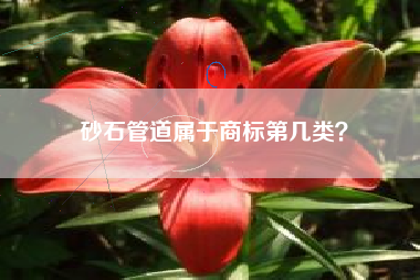 砂石管道属于商标第几类？