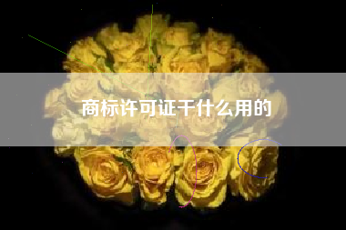 商标许可证干什么用的