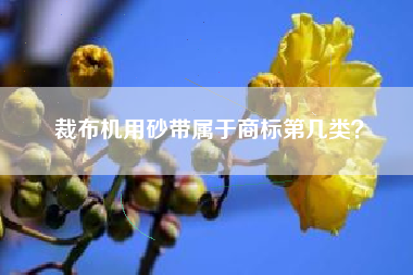裁布机用砂带属于商标第几类？