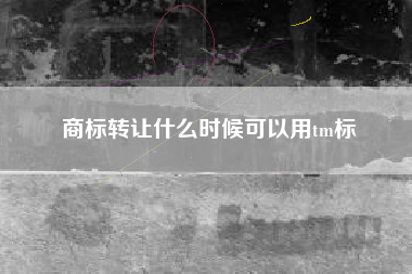 商标转让什么时候可以用tm标