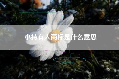 小持有人商标是什么意思