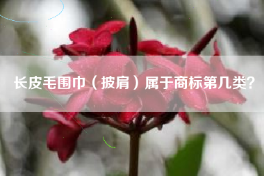 长皮毛围巾（披肩）属于商标第几类？