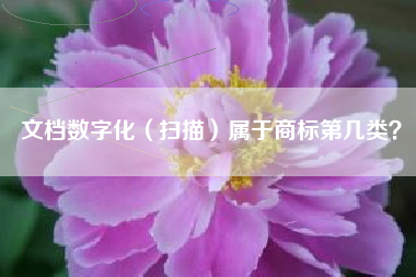 文档数字化（扫描）属于商标第几类？