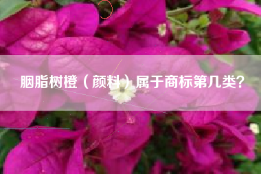 胭脂树橙（颜料）属于商标第几类？