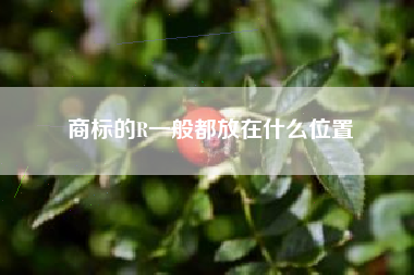 商标的R一般都放在什么位置