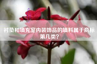 衬垫和填充室内装饰品的填料属于商标第几类？
