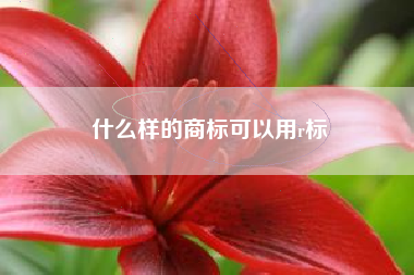 什么样的商标可以用r标