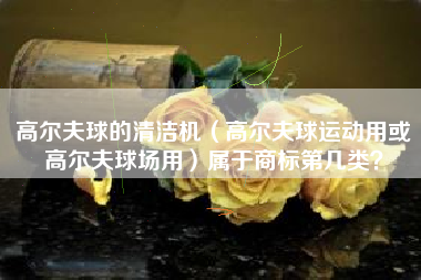 高尔夫球的清洁机（高尔夫球运动用或高尔夫球场用）属于商标第几类？