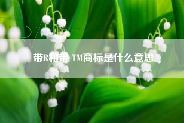带R和带 TM商标是什么意思