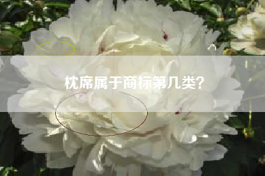 枕席属于商标第几类？