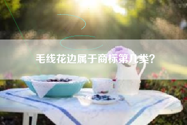 毛线花边属于商标第几类？