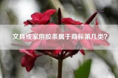 文具或家用胶条属于商标第几类？