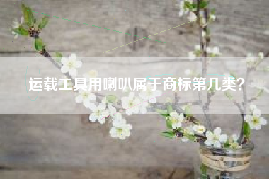 运载工具用喇叭属于商标第几类？