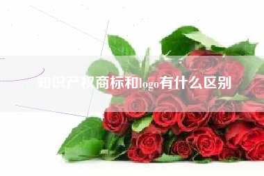 知识产权商标和logo有什么区别