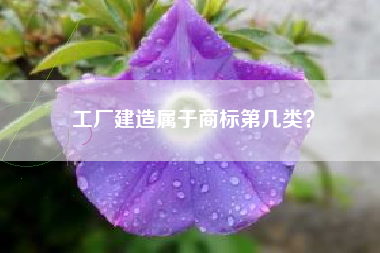 工厂建造属于商标第几类？