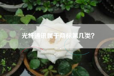 光纤通讯属于商标第几类？