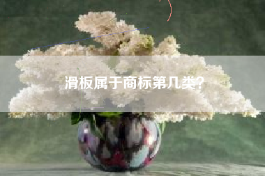 滑板属于商标第几类？