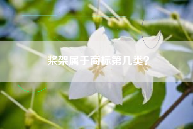 桨架属于商标第几类？