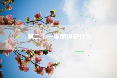 第二十一类商标是什么