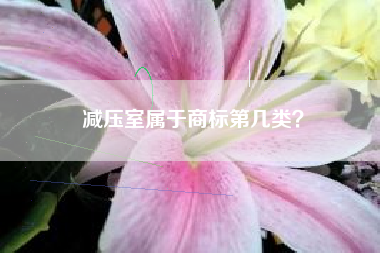 减压室属于商标第几类？
