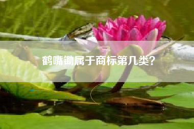 鹤嘴锄属于商标第几类？