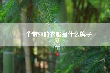 一个带SB的衣服是什么牌子