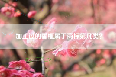 加工过的香榧属于商标第几类？