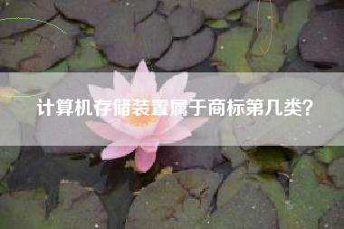 计算机存储装置属于商标第几类？