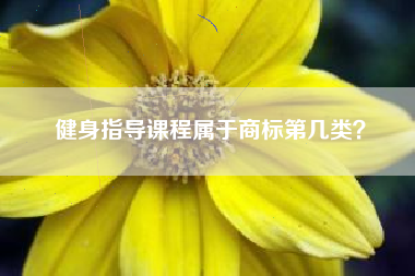 健身指导课程属于商标第几类？